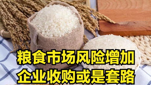 小麥政策調控下的市場風險與企業收購策略分析