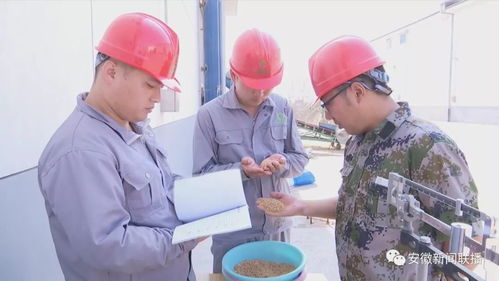 安徽強化服務意識，穩步推進夏糧收購工作