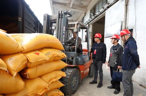 鏡頭守護大國糧倉 糧食收購的關鍵環節