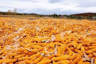 農產品進口量擴大背景下的中國農業未來與糧食收購挑戰