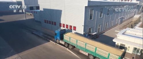 糧食收購企業智能化收儲，農戶賣上“舒心糧”