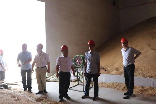 鄭澤臣同志赴五蓮縣糧食儲備庫調研夏糧收購工作