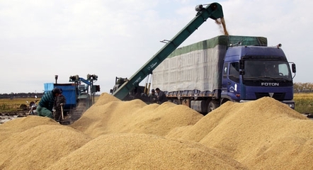 赤峰林東糧食收購站 初級農產品收購服務與聯系方式