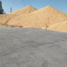 依安縣糧食批發收購指南 如何選擇可靠的糧食收購商