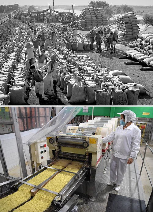 時光相冊 中原糧倉的豐收記憶