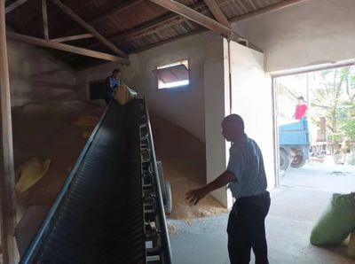 上杭南陽鎮(zhèn) 多措并舉抓好糧食收購，筑牢農民“放心售糧”與“有序收糧”雙保障