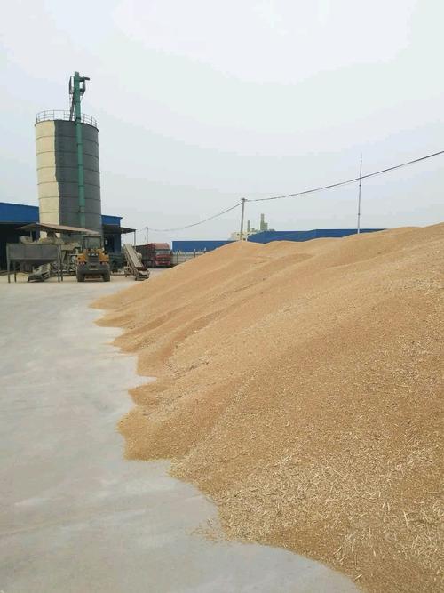 熱烈祝賀河南省舞陽縣耀山糧食購銷站2018年度糧食收購與銷售工作取得豐碩成果，為初級農產品流通注入新活力