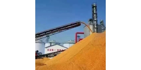 大型糧食收購公司初級農產品收購策略與實踐