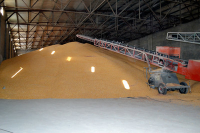 筑牢基石 四平糧食收購點在初級農產品收購中的角色與實踐