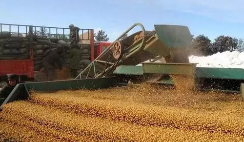 12項惠農新政落地，初級農產品收購迎利好，農民收入看漲