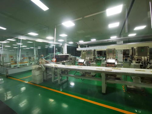 一線調研行 農發行濱州分行的夏糧收購與產業鏈支持實踐